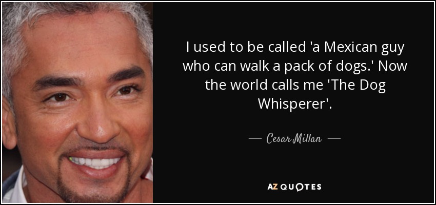 I used to be called 'a Mexican guy who can walk a pack of dogs.' Now the world calls me 'The Dog Whisperer'. - Cesar Millan