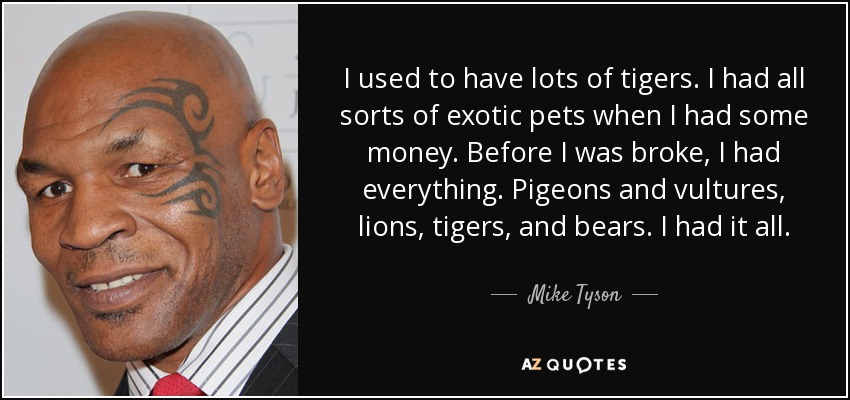 I used to have lots of tigers. I had all sorts of exotic pets when I had some money. Before I was broke, I had everything. Pigeons and vultures, lions, tigers, and bears. I had it all. - Mike Tyson