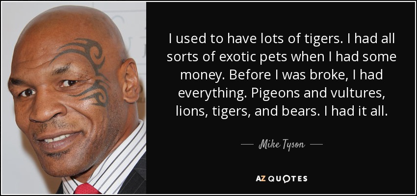 I used to have lots of tigers. I had all sorts of exotic pets when I had some money. Before I was broke, I had everything. Pigeons and vultures, lions, tigers, and bears. I had it all. - Mike Tyson