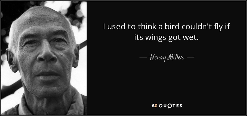 I used to think a bird couldn't fly if its wings got wet. - Henry Miller