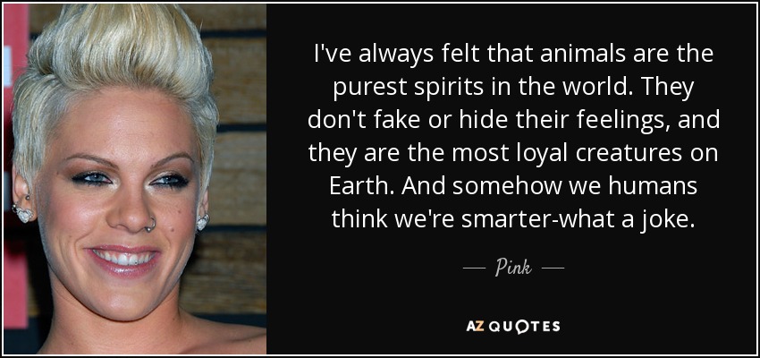I've always felt that animals are the purest spirits in the world. They don't fake or hide their feelings, and they are the most loyal creatures on Earth. And somehow we humans think we're smarter-what a joke. - Pink