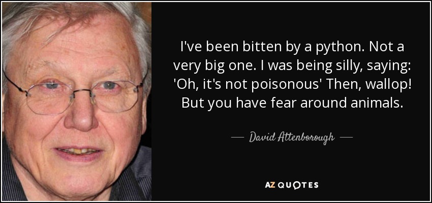 I've been bitten by a python. Not a very big one. I was being silly, saying: 'Oh, it's not poisonous' Then, wallop! But you have fear around animals. - David Attenborough