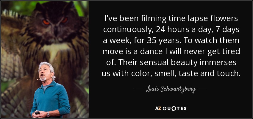 I've been filming time lapse flowers continuously, 24 hours a day, 7 days a week, for 35 years. To watch them move is a dance I will never get tired of. Their sensual beauty immerses us with color, smell, taste and touch. - Louis Schwartzberg