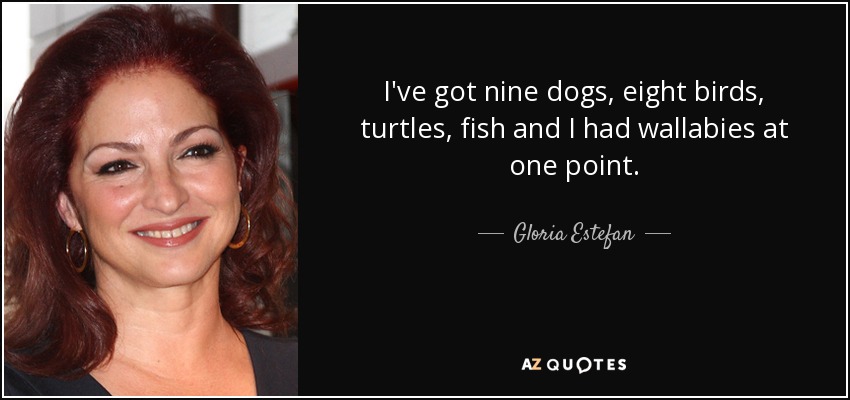 I've got nine dogs, eight birds, turtles, fish and I had wallabies at one point. - Gloria Estefan