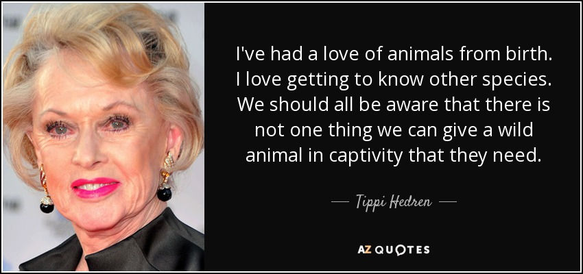 I've had a love of animals from birth. I love getting to know other species. We should all be aware that there is not one thing we can give a wild animal in captivity that they need. - Tippi Hedren