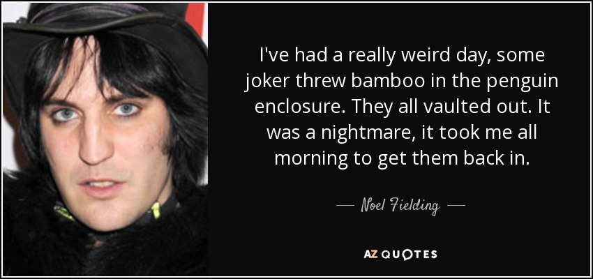 I've had a really weird day, some joker threw bamboo in the penguin enclosure. They all vaulted out. It was a nightmare, it took me all morning to get them back in. - Noel Fielding