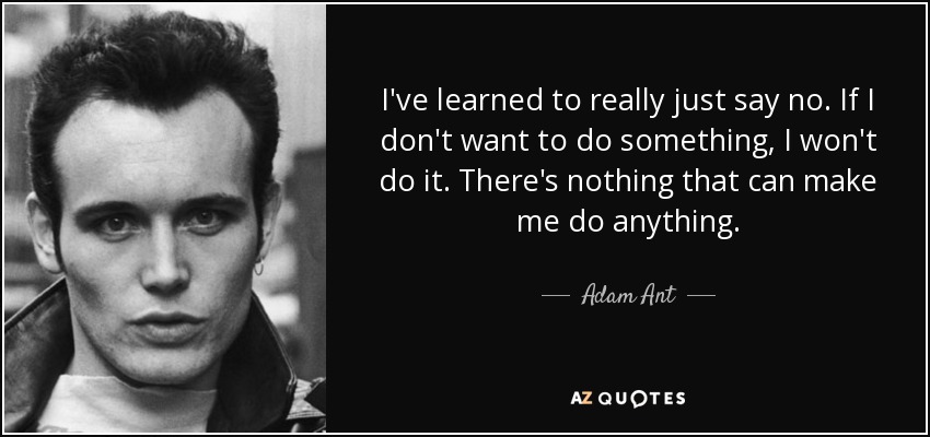 I've learned to really just say no. If I don't want to do something, I won't do it. There's nothing that can make me do anything. - Adam Ant