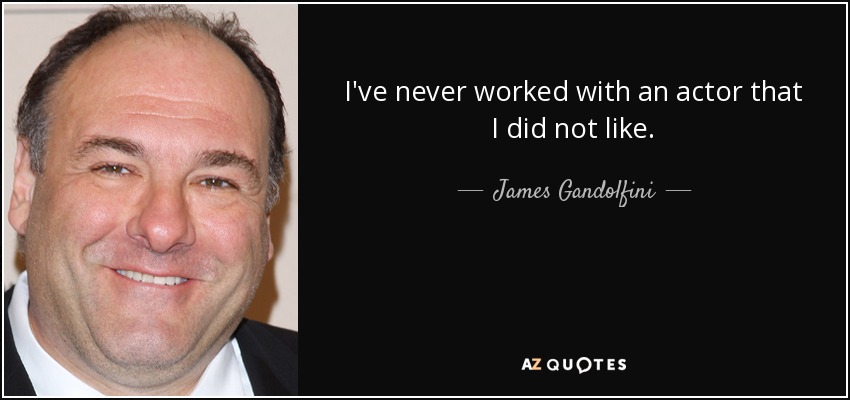 I've never worked with an actor that I did not like. - James Gandolfini