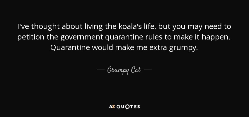 I've thought about living the koala's life, but you may need to petition the government quarantine rules to make it happen. Quarantine would make me extra grumpy. - Grumpy Cat