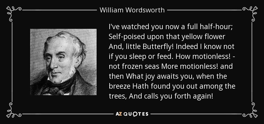 I've watched you now a full half-hour; Self-poised upon that yellow flower And, little Butterfly! Indeed I know not if you sleep or feed. How motionless! - not frozen seas More motionless! and then What joy awaits you, when the breeze Hath found you out among the trees, And calls you forth again! - William Wordsworth