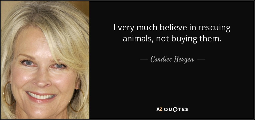 I very much believe in rescuing animals, not buying them. - Candice Bergen