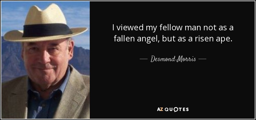 I viewed my fellow man not as a fallen angel, but as a risen ape. - Desmond Morris