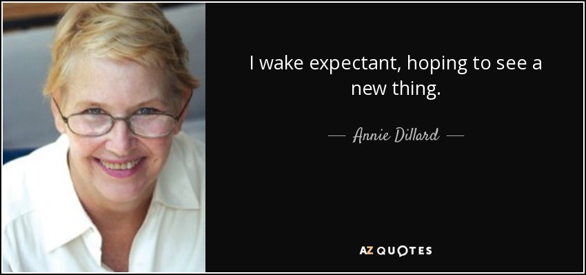I wake expectant, hoping to see a new thing. - Annie Dillard