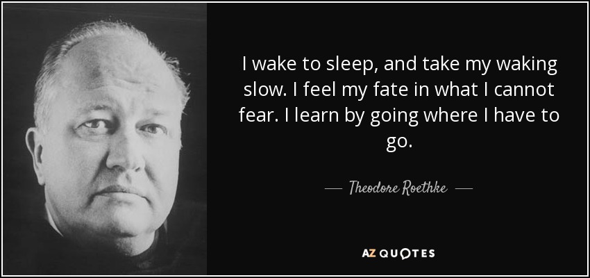 I wake to sleep, and take my waking slow. I feel my fate in what I cannot fear. I learn by going where I have to go. - Theodore Roethke