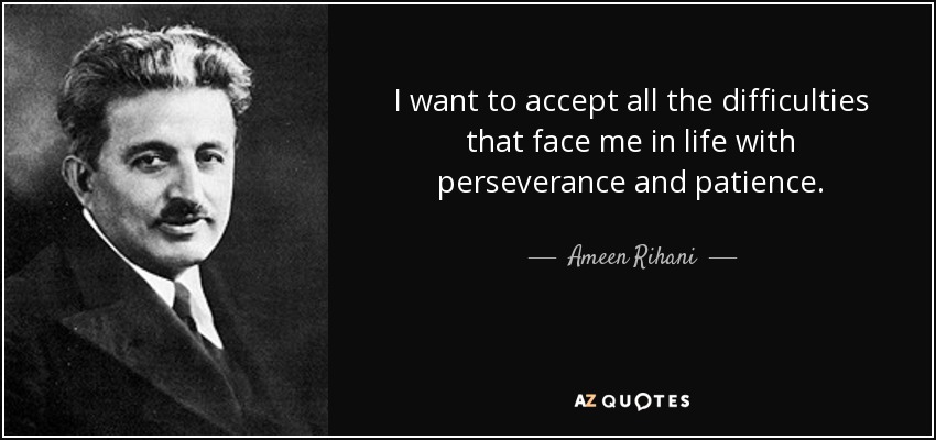I want to accept all the difficulties that face me in life with perseverance and patience. - Ameen Rihani