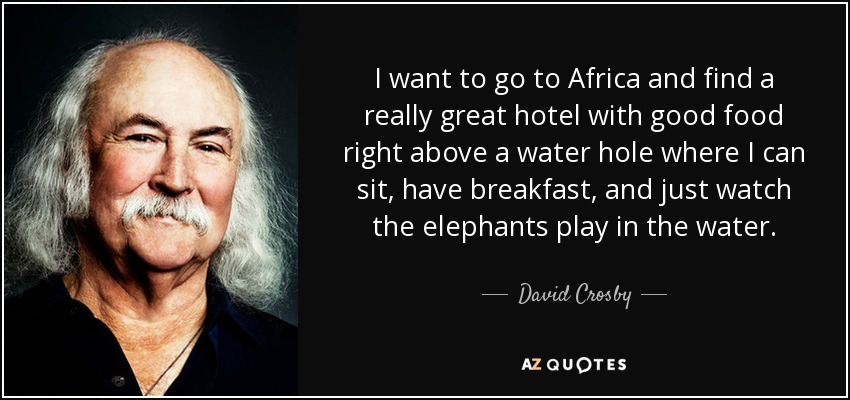 I want to go to Africa and find a really great hotel with good food right above a water hole where I can sit, have breakfast, and just watch the elephants play in the water. - David Crosby