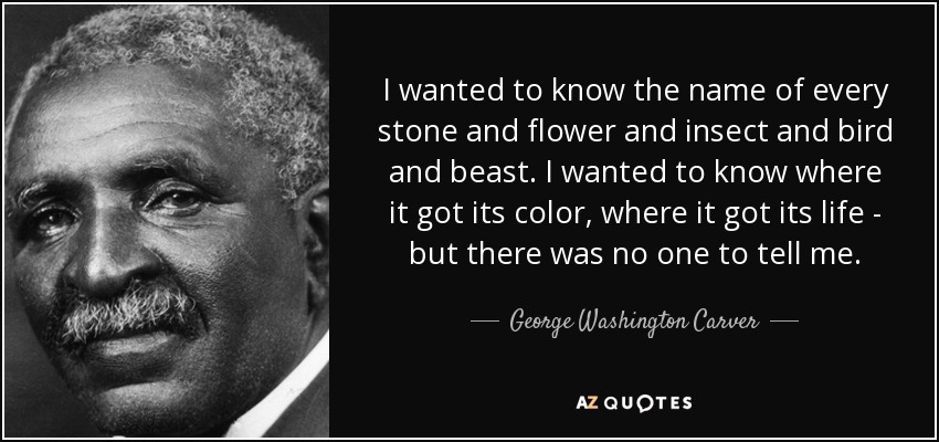 I wanted to know the name of every stone and flower and insect and bird and beast. I wanted to know where it got its color, where it got its life - but there was no one to tell me. - George Washington Carver