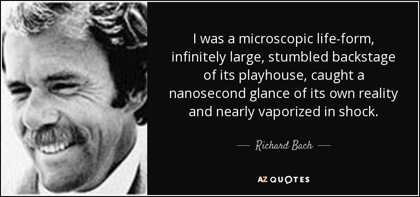 I was a microscopic life-form, infinitely large, stumbled backstage of its playhouse, caught a nanosecond glance of its own reality and nearly vaporized in shock. - Richard Bach
