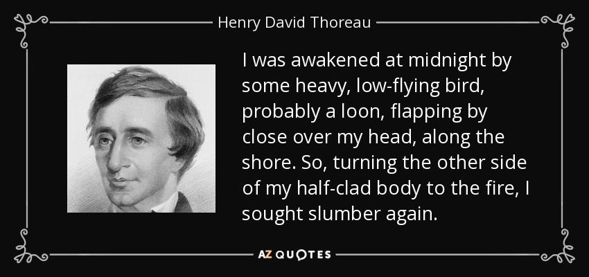 I was awakened at midnight by some heavy, low-flying bird, probably a loon, flapping by close over my head, along the shore. So, turning the other side of my half-clad body to the fire, I sought slumber again. - Henry David Thoreau