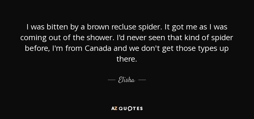 I was bitten by a brown recluse spider. It got me as I was coming out of the shower. I'd never seen that kind of spider before, I'm from Canada and we don't get those types up there. - Elisha