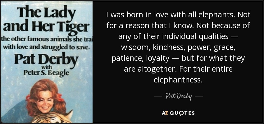 I was born in love with all elephants. Not for a reason that I know. Not because of any of their individual qualities — wisdom, kindness, power, grace, patience, loyalty — but for what they are altogether. For their entire elephantness. - Pat Derby