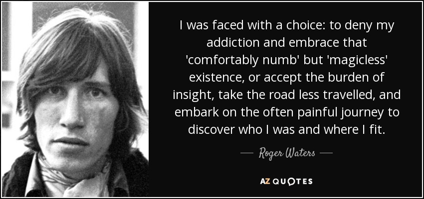 I was faced with a choice: to deny my addiction and embrace that 'comfortably numb' but 'magicless' existence, or accept the burden of insight, take the road less travelled, and embark on the often painful journey to discover who I was and where I fit. - Roger Waters