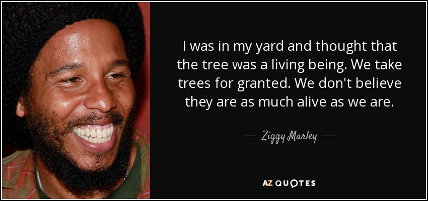 I was in my yard and thought that the tree was a living being. We take trees for granted. We don't believe they are as much alive as we are. - Ziggy Marley