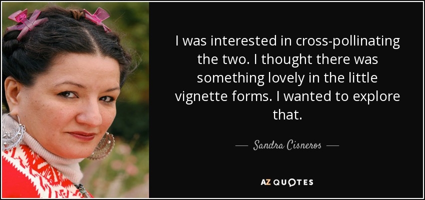 I was interested in cross-pollinating the two. I thought there was something lovely in the little vignette forms. I wanted to explore that. - Sandra Cisneros