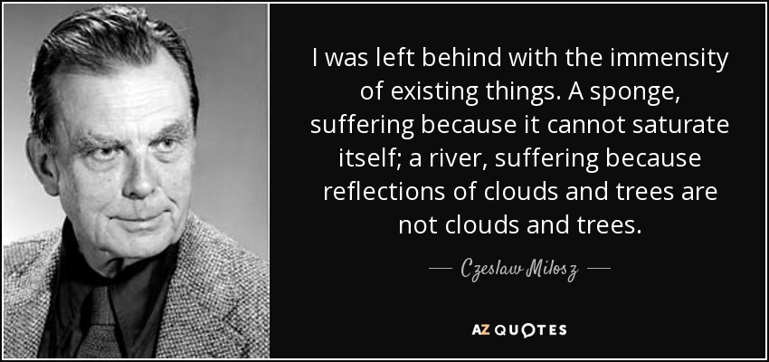 I was left behind with the immensity of existing things. A sponge, suffering because it cannot saturate itself; a river, suffering because reflections of clouds and trees are not clouds and trees. - Czeslaw Milosz