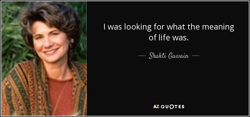 I was looking for what the meaning of life was. - Shakti Gawain