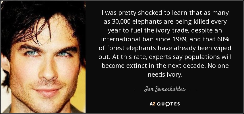 I was pretty shocked to learn that as many as 30,000 elephants are being killed every year to fuel the ivory trade, despite an international ban since 1989, and that 60% of forest elephants have already been wiped out. At this rate, experts say populations will become extinct in the next decade. No one needs ivory. - Ian Somerhalder