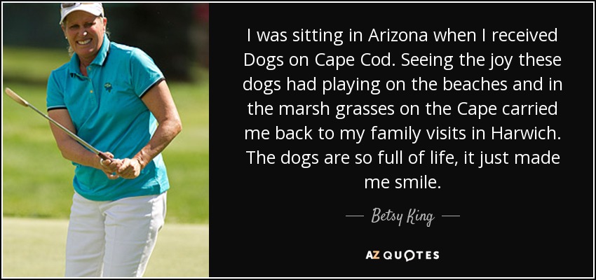 I was sitting in Arizona when I received Dogs on Cape Cod. Seeing the joy these dogs had playing on the beaches and in the marsh grasses on the Cape carried me back to my family visits in Harwich. The dogs are so full of life, it just made me smile. - Betsy King