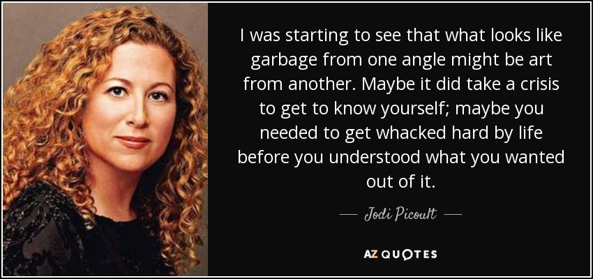 I was starting to see that what looks like garbage from one angle might be art from another. Maybe it did take a crisis to get to know yourself; maybe you needed to get whacked hard by life before you understood what you wanted out of it. - Jodi Picoult