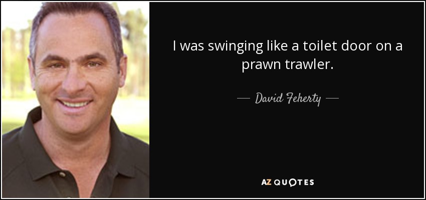 I was swinging like a toilet door on a prawn trawler. - David Feherty