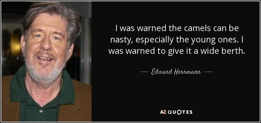 I was warned the camels can be nasty, especially the young ones. I was warned to give it a wide berth. - Edward Herrmann