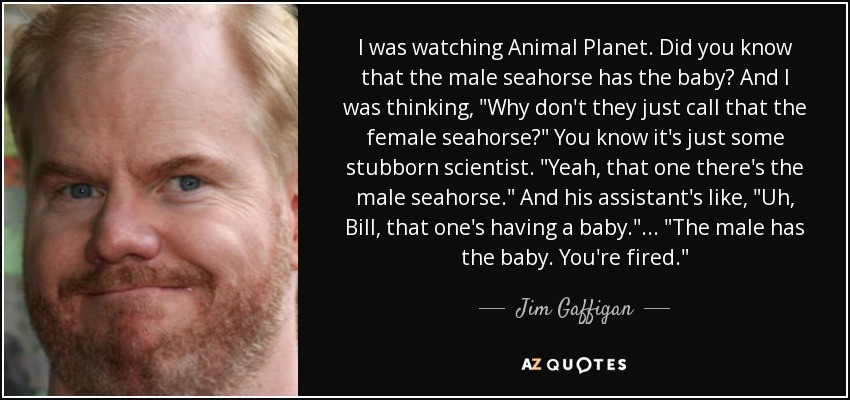I was watching Animal Planet. Did you know that the male seahorse has the baby? And I was thinking, 