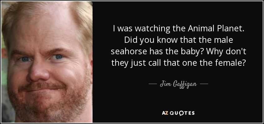 I was watching the Animal Planet. Did you know that the male seahorse has the baby? Why don't they just call that one the female? - Jim Gaffigan