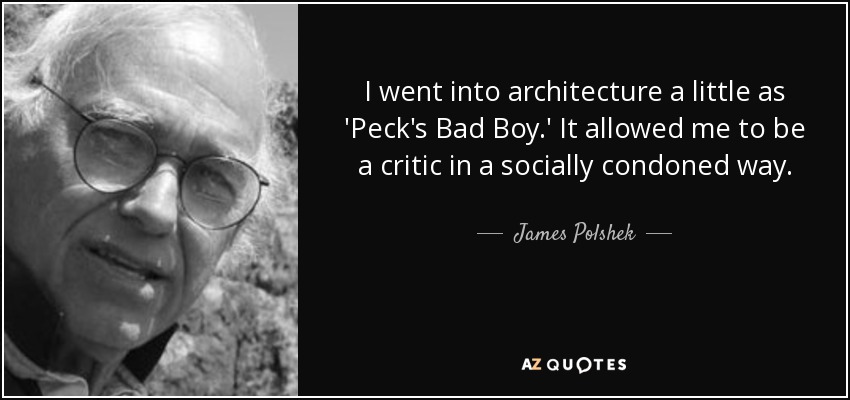 I went into architecture a little as 'Peck's Bad Boy.' It allowed me to be a critic in a socially condoned way. - James Polshek