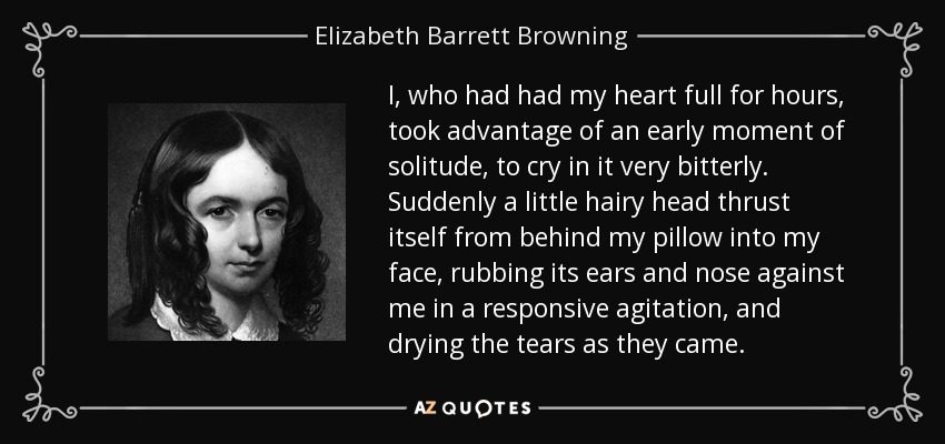 I, who had had my heart full for hours, took advantage of an early moment of solitude, to cry in it very bitterly. Suddenly a little hairy head thrust itself from behind my pillow into my face, rubbing its ears and nose against me in a responsive agitation, and drying the tears as they came. - Elizabeth Barrett Browning
