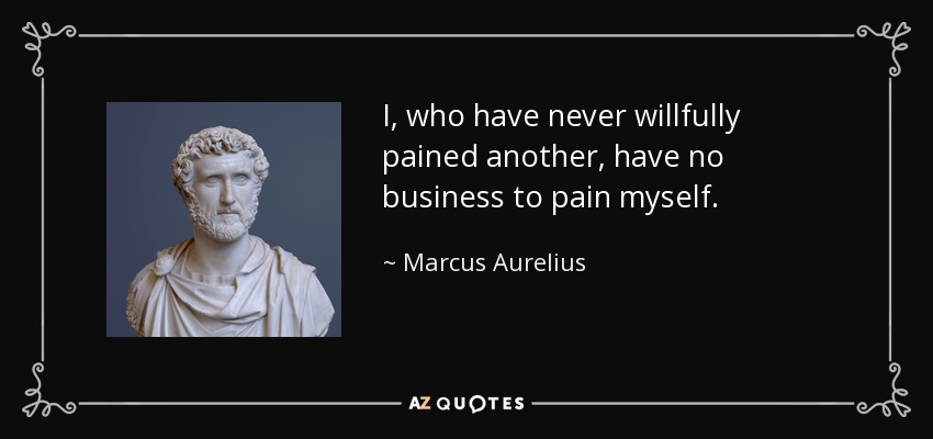 I, who have never willfully pained another, have no business to pain myself. - Marcus Aurelius