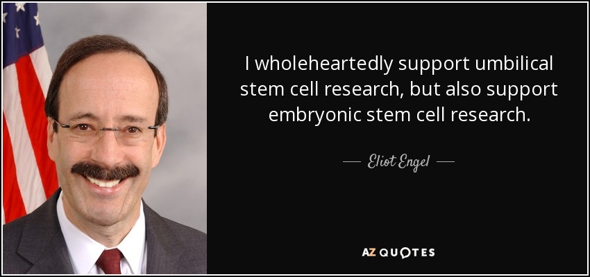 I wholeheartedly support umbilical stem cell research, but also support embryonic stem cell research. - Eliot Engel