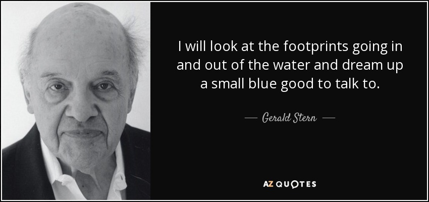 I will look at the footprints going in and out of the water and dream up a small blue good to talk to. - Gerald Stern