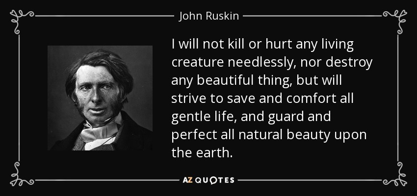 I will not kill or hurt any living creature needlessly, nor destroy any beautiful thing, but will strive to save and comfort all gentle life, and guard and perfect all natural beauty upon the earth. - John Ruskin
