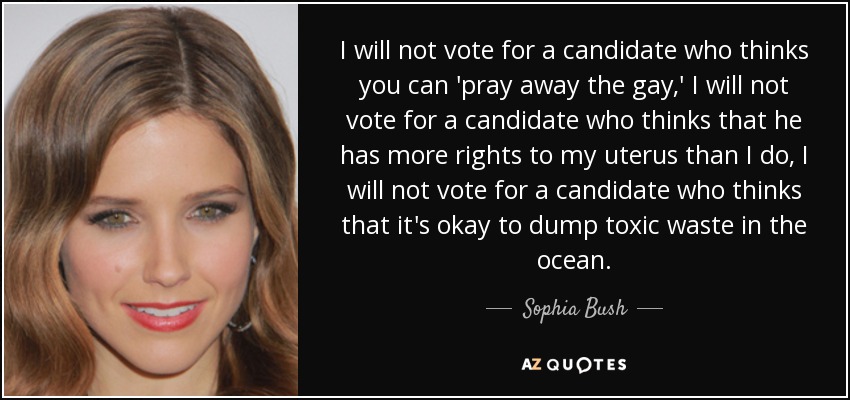 I will not vote for a candidate who thinks you can 'pray away the gay,' I will not vote for a candidate who thinks that he has more rights to my uterus than I do, I will not vote for a candidate who thinks that it's okay to dump toxic waste in the ocean. - Sophia Bush