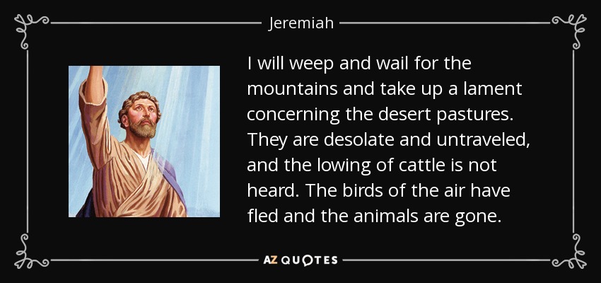 I will weep and wail for the mountains and take up a lament concerning the desert pastures. They are desolate and untraveled, and the lowing of cattle is not heard. The birds of the air have fled and the animals are gone. - Jeremiah