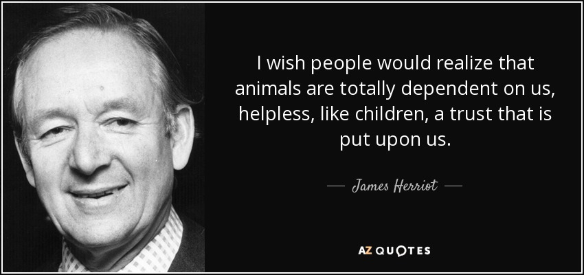 I wish people would realize that animals are totally dependent on us, helpless, like children, a trust that is put upon us. - James Herriot