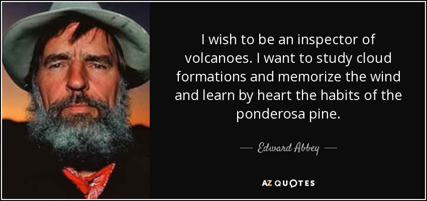 I wish to be an inspector of volcanoes. I want to study cloud formations and memorize the wind and learn by heart the habits of the ponderosa pine. - Edward Abbey