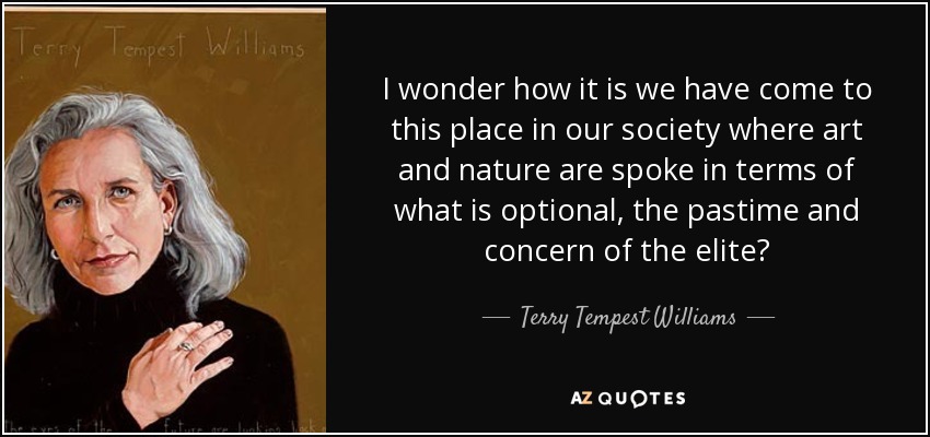 I wonder how it is we have come to this place in our society where art and nature are spoke in terms of what is optional, the pastime and concern of the elite? - Terry Tempest Williams