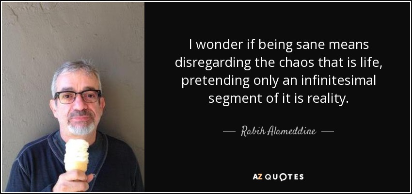 I wonder if being sane means disregarding the chaos that is life, pretending only an infinitesimal segment of it is reality. - Rabih Alameddine