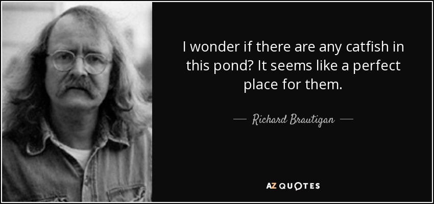 I wonder if there are any catfish in this pond? It seems like a perfect place for them. - Richard Brautigan